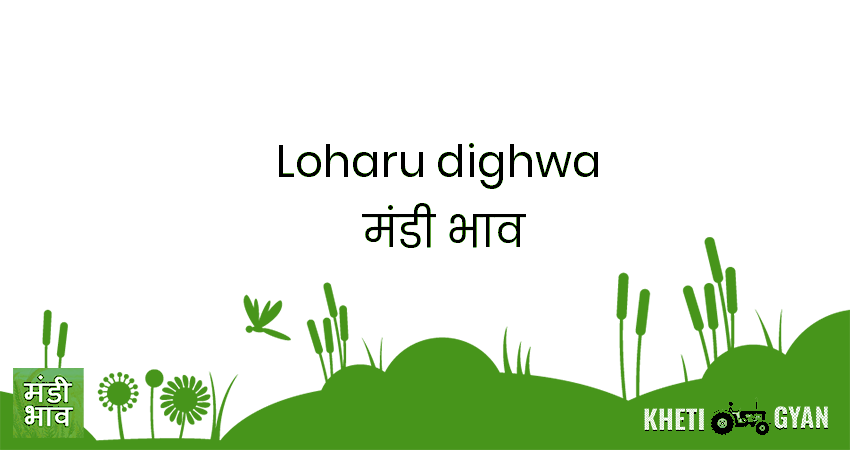 Loharu(Dighwa) मंडी भाव की ताज़ा तस्वीर